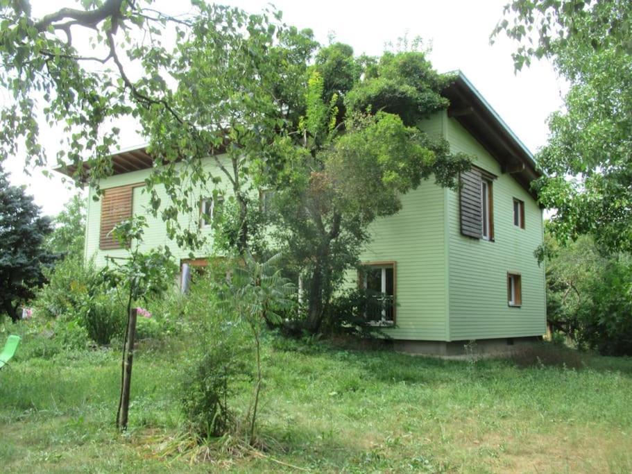 Ferienwohnung Im Gruenen Gottenheim Exterior foto
