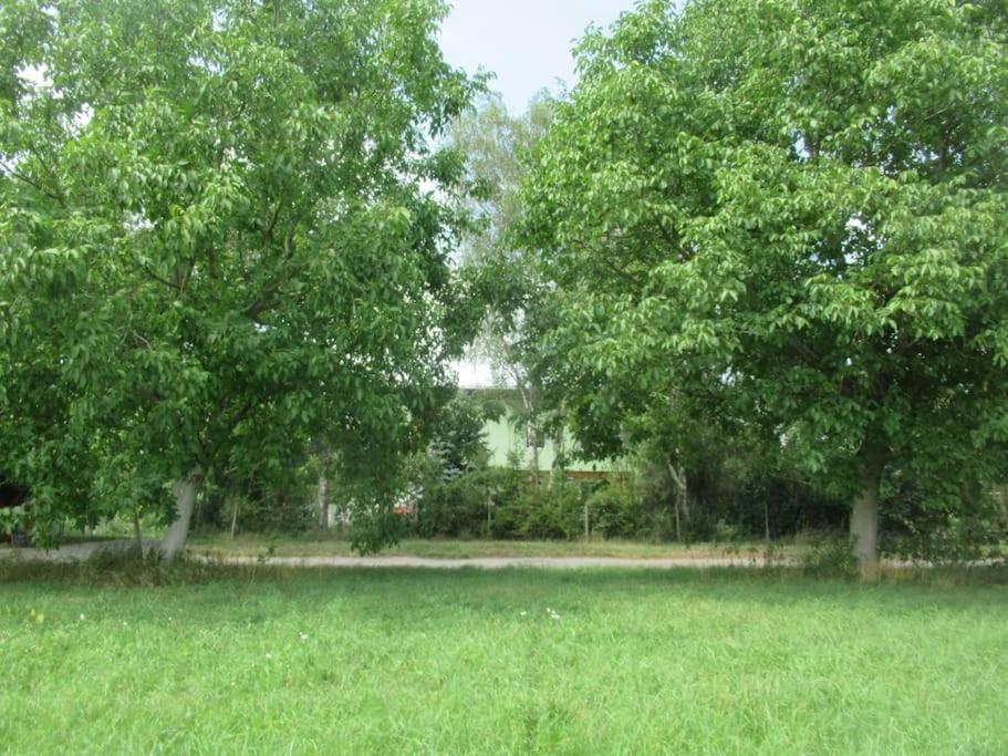 Ferienwohnung Im Gruenen Gottenheim Exterior foto